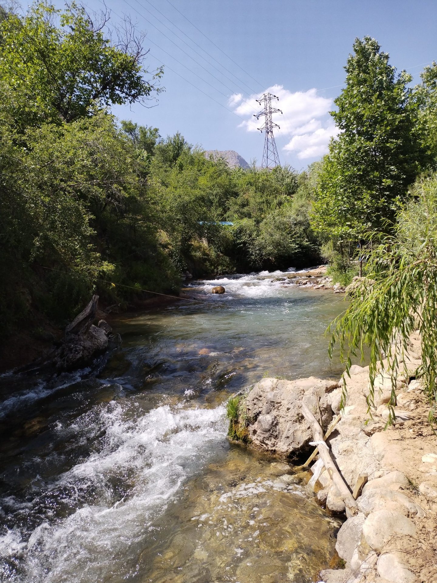 Sayr fotosi