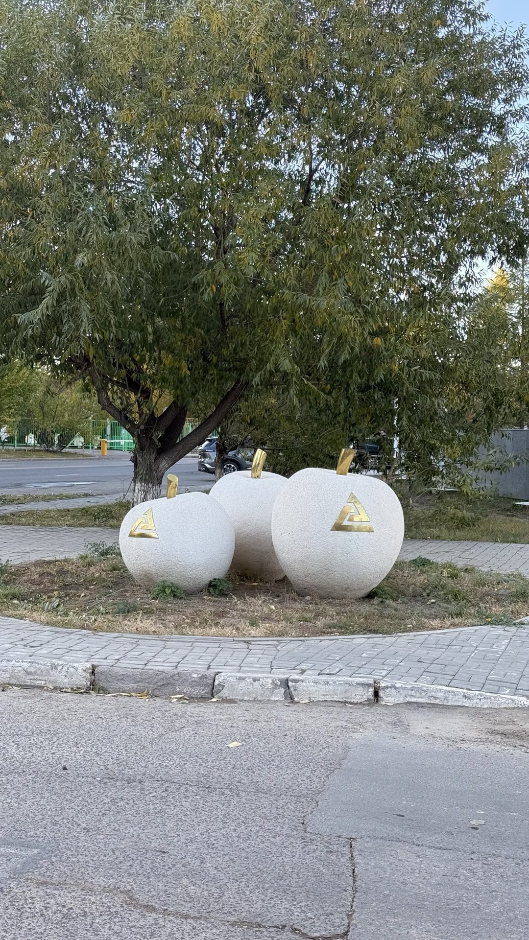 Sayr fotosi