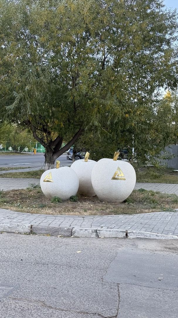 Sayr fotosi