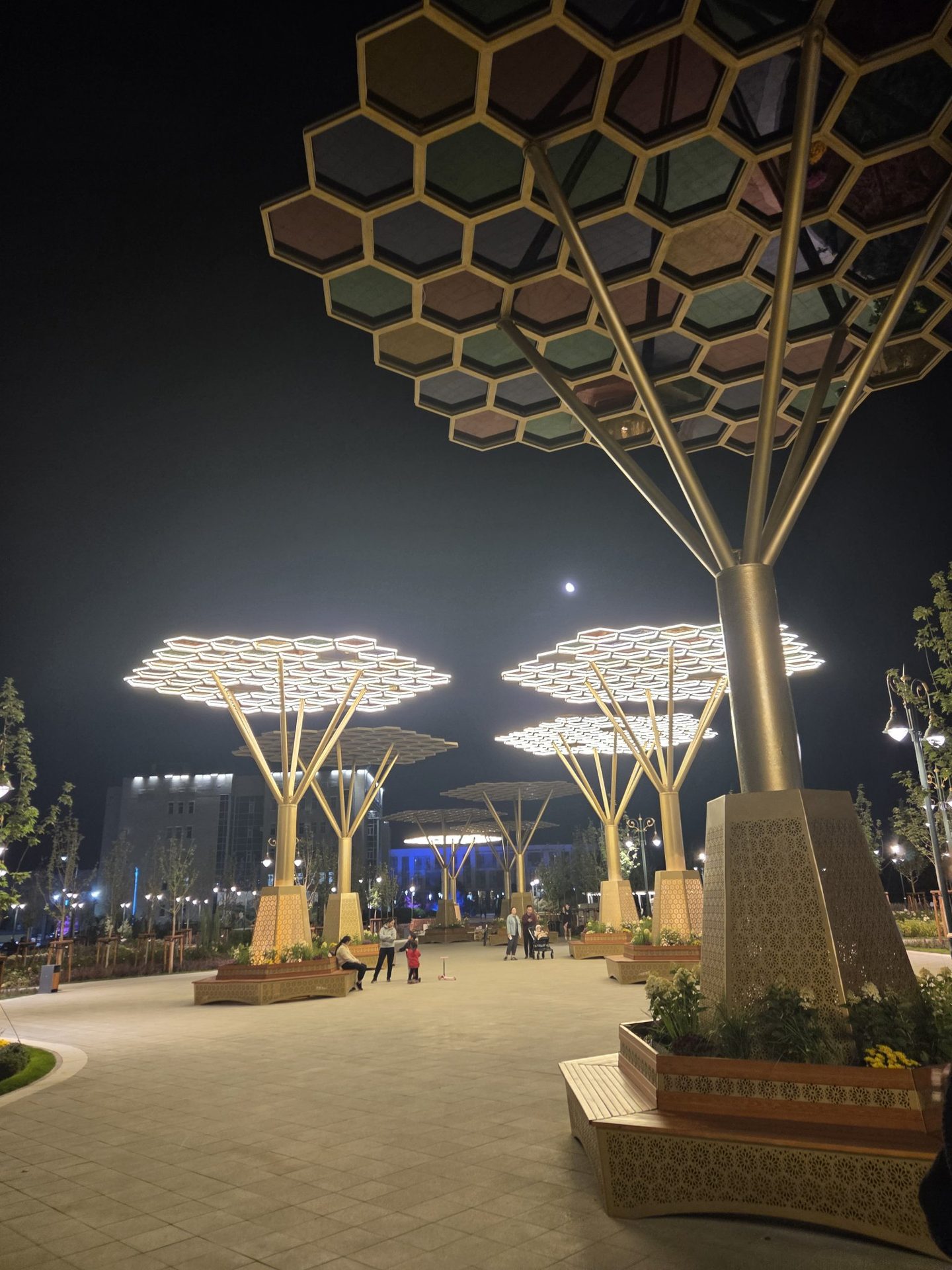 Фото прогулки