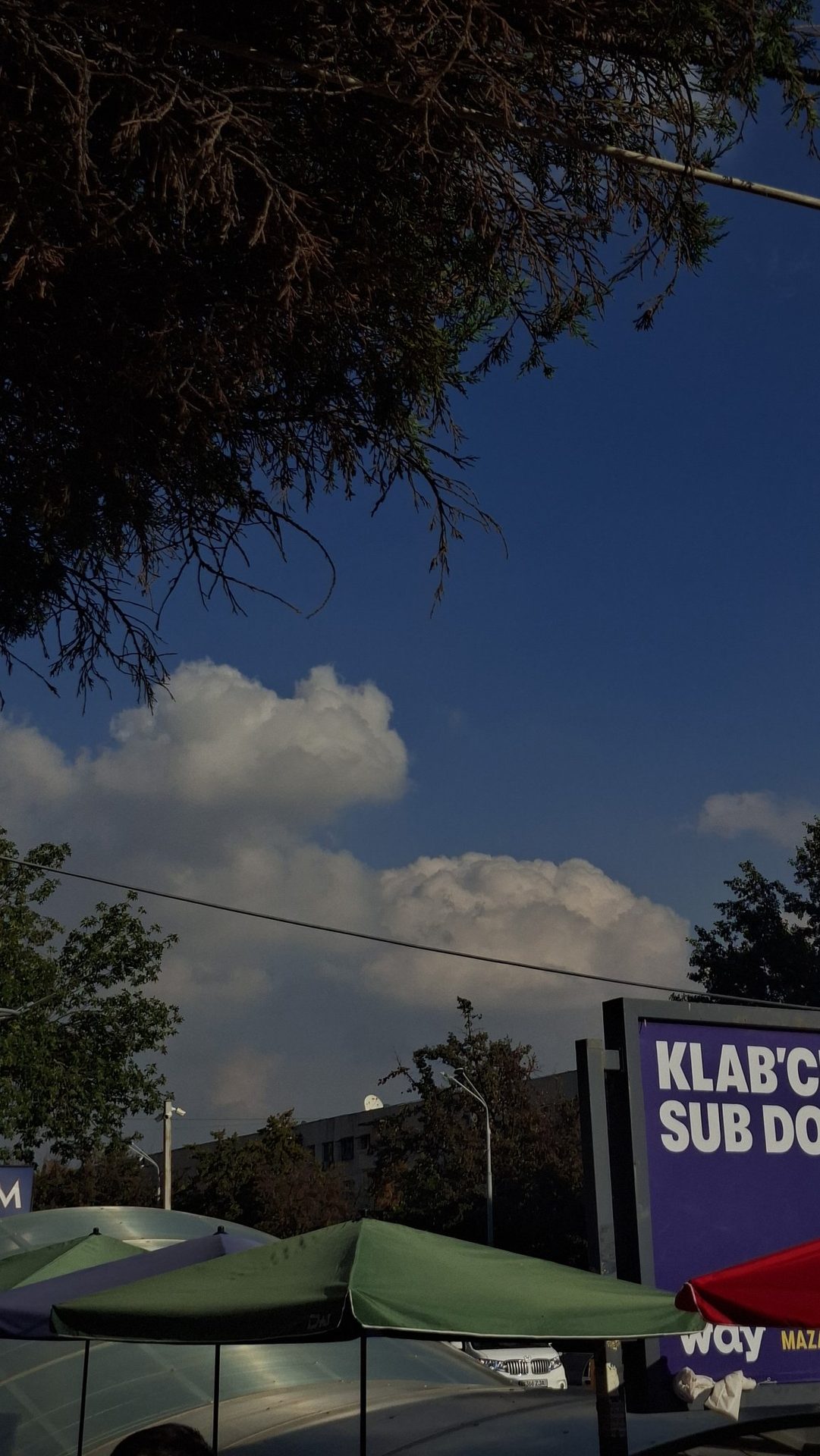 Акси сайругашт