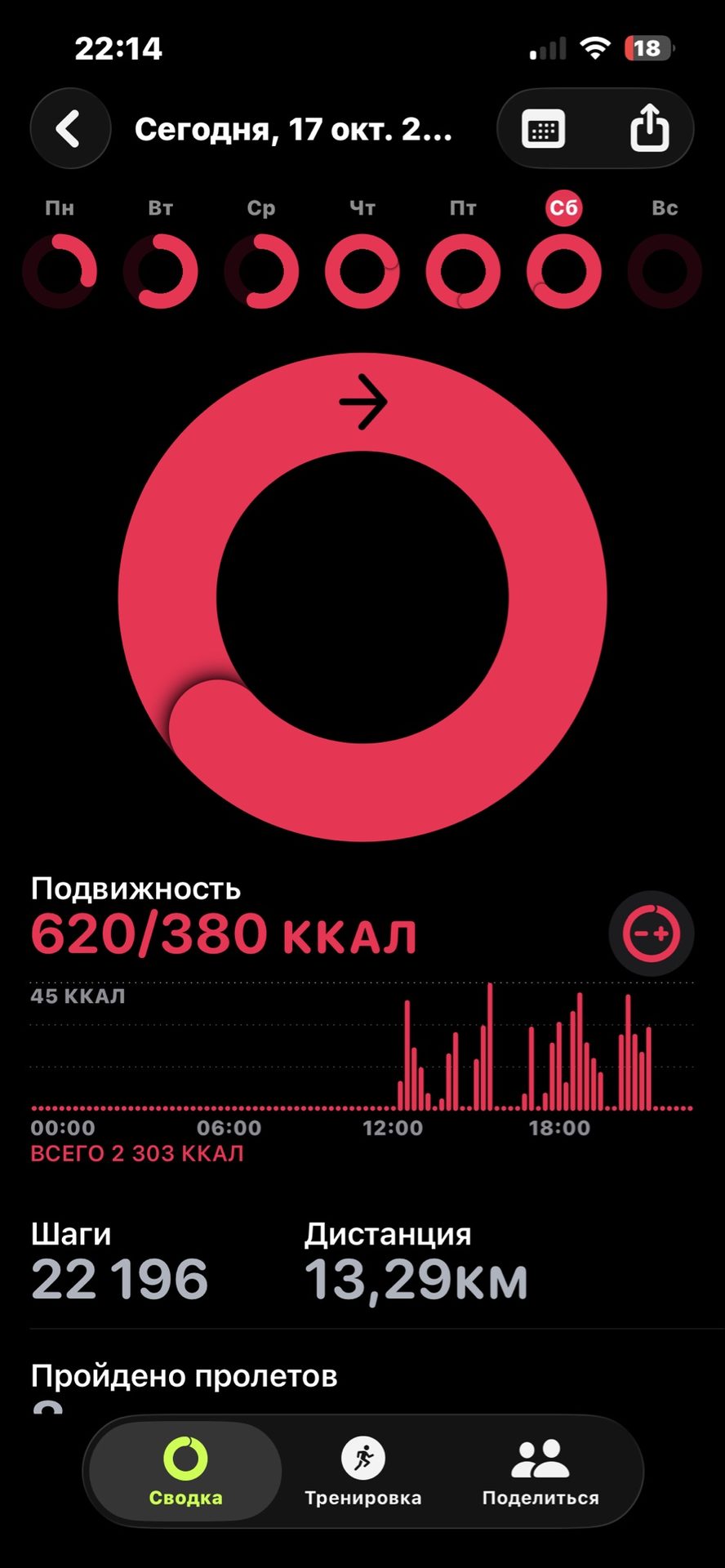 Сейил сүрөтү