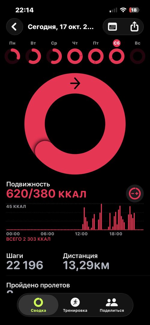 Сейил сүрөтү
