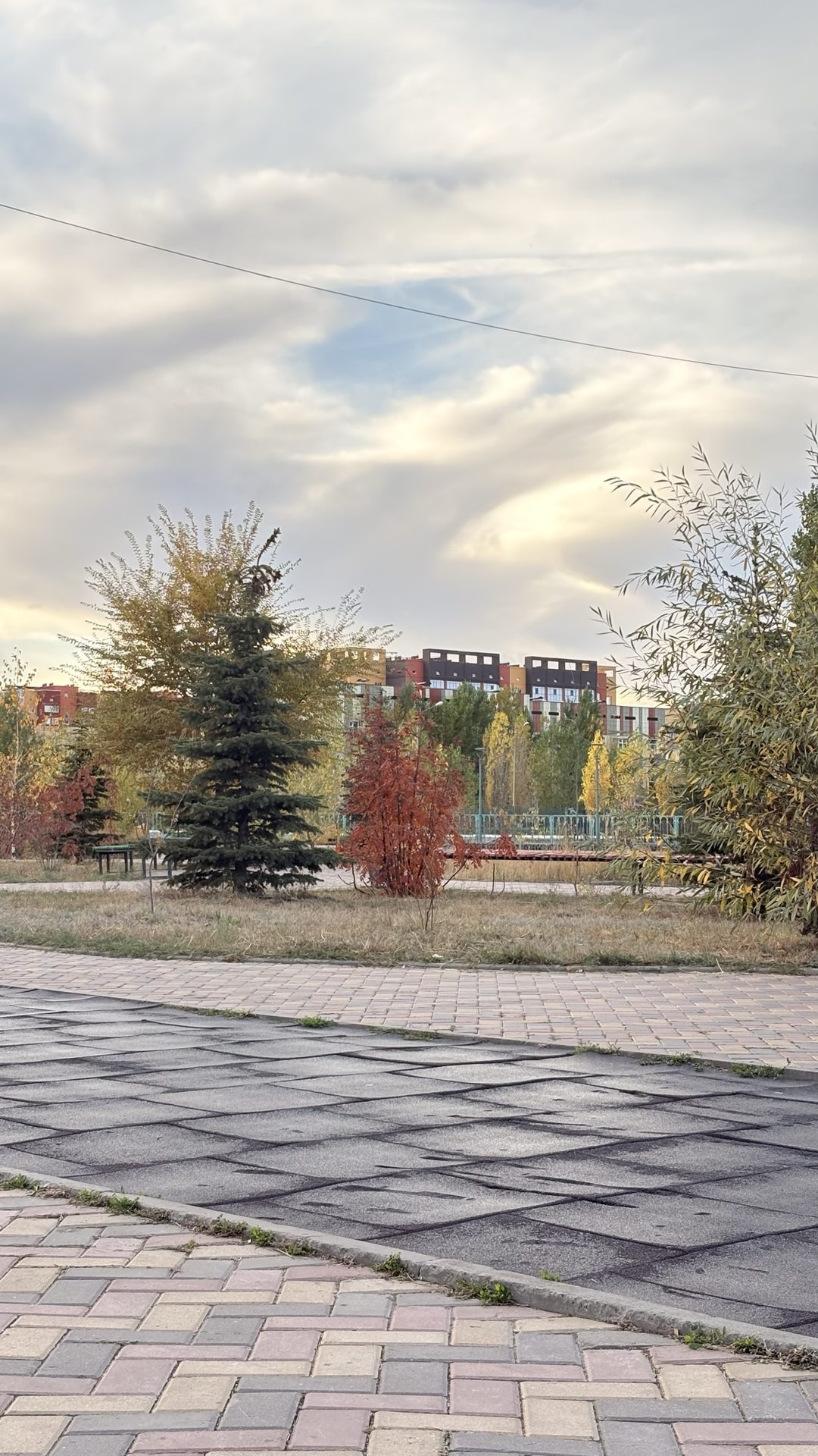 Сәйли сүрити